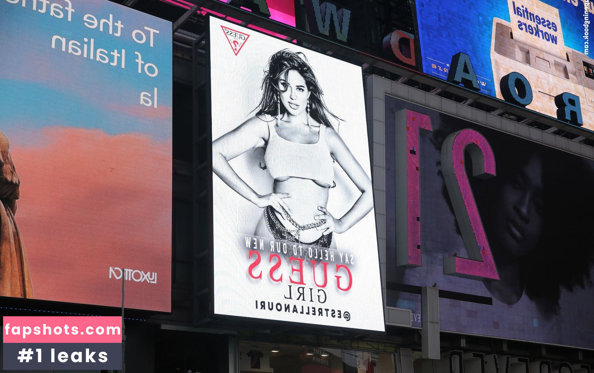 Estrella Nouri gallery photo #8