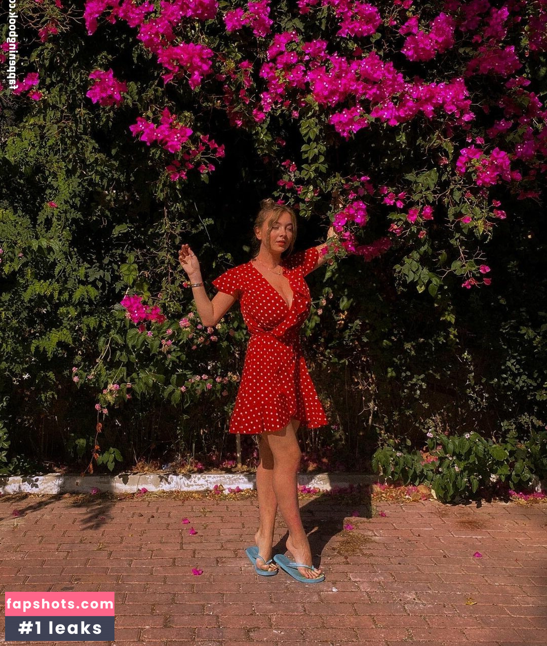 Eva Bogut gallery photo #46