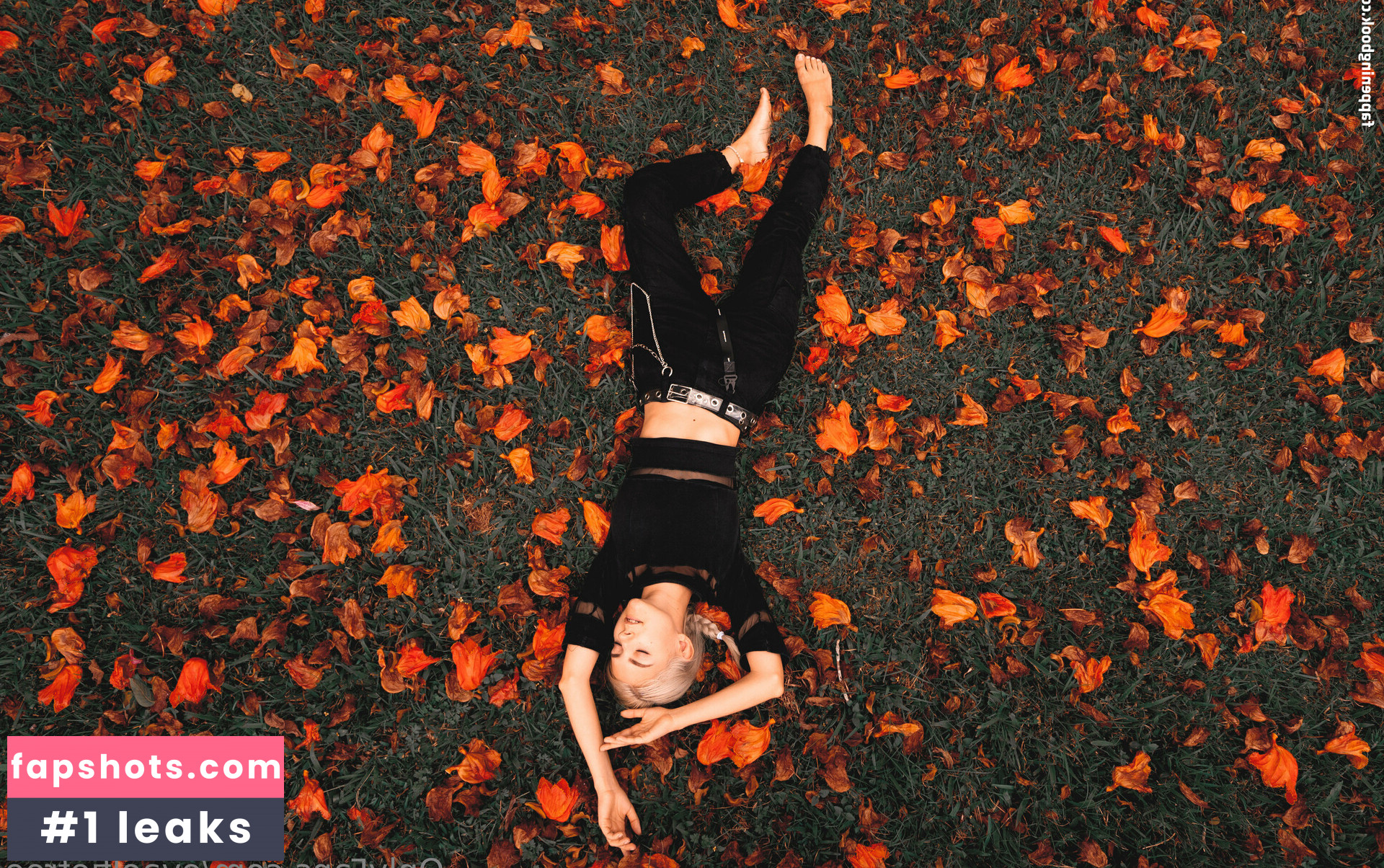 evaelfiefree Nacktheit OnlyFans Fotos #15 - Fapshots