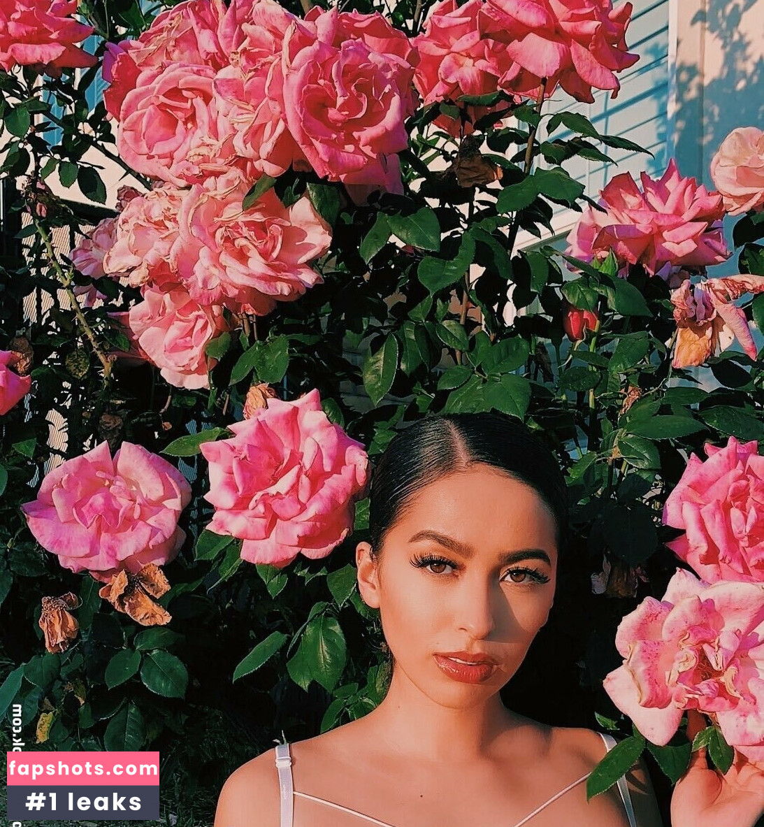 evalego2 gallery photo #8