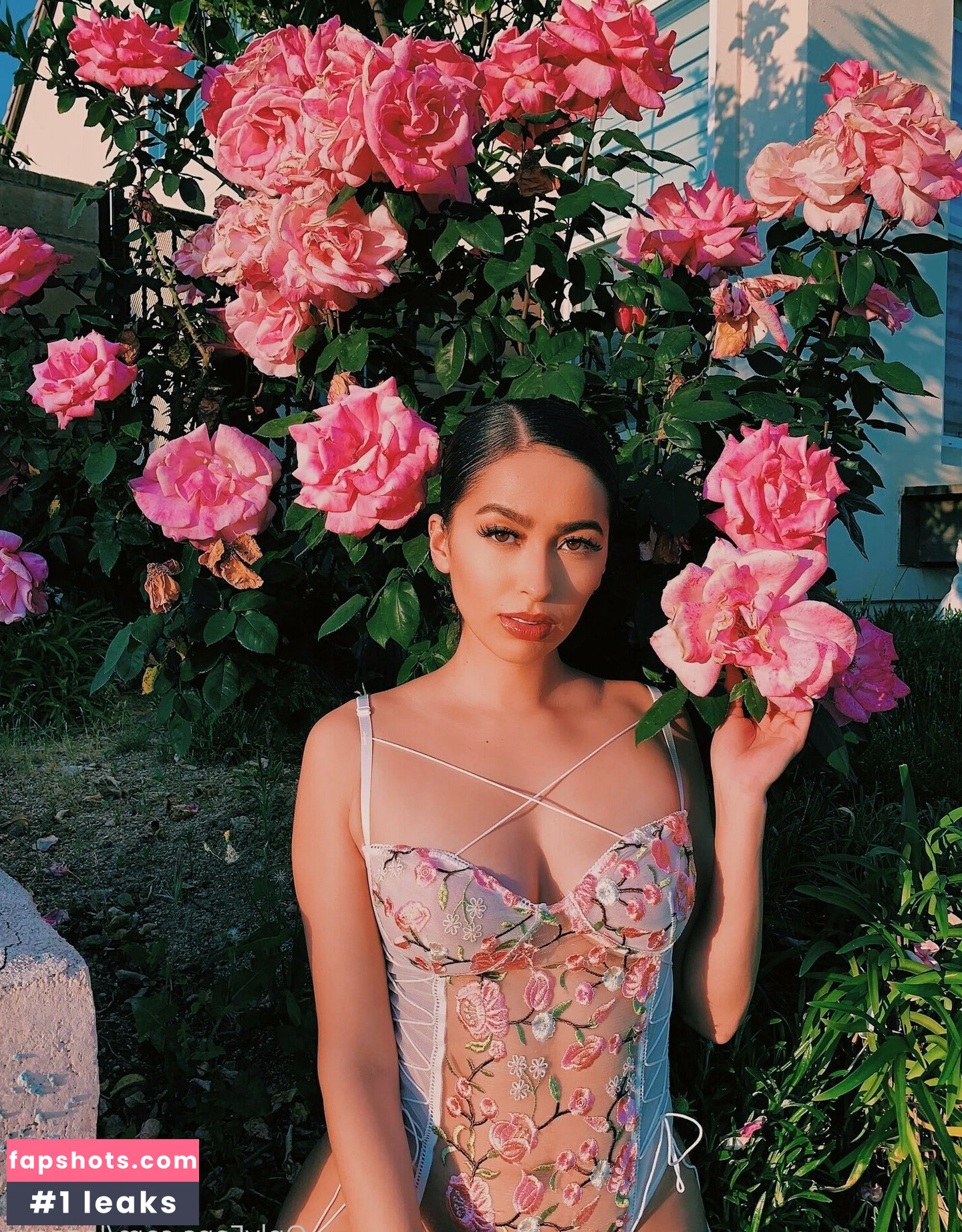 evalego2 gallery photo #9