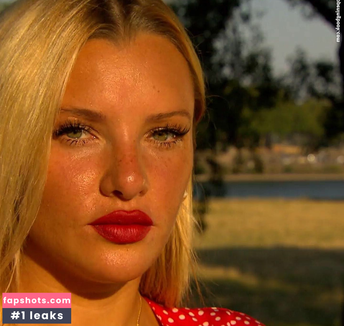 evelynburdecki gallery photo #15