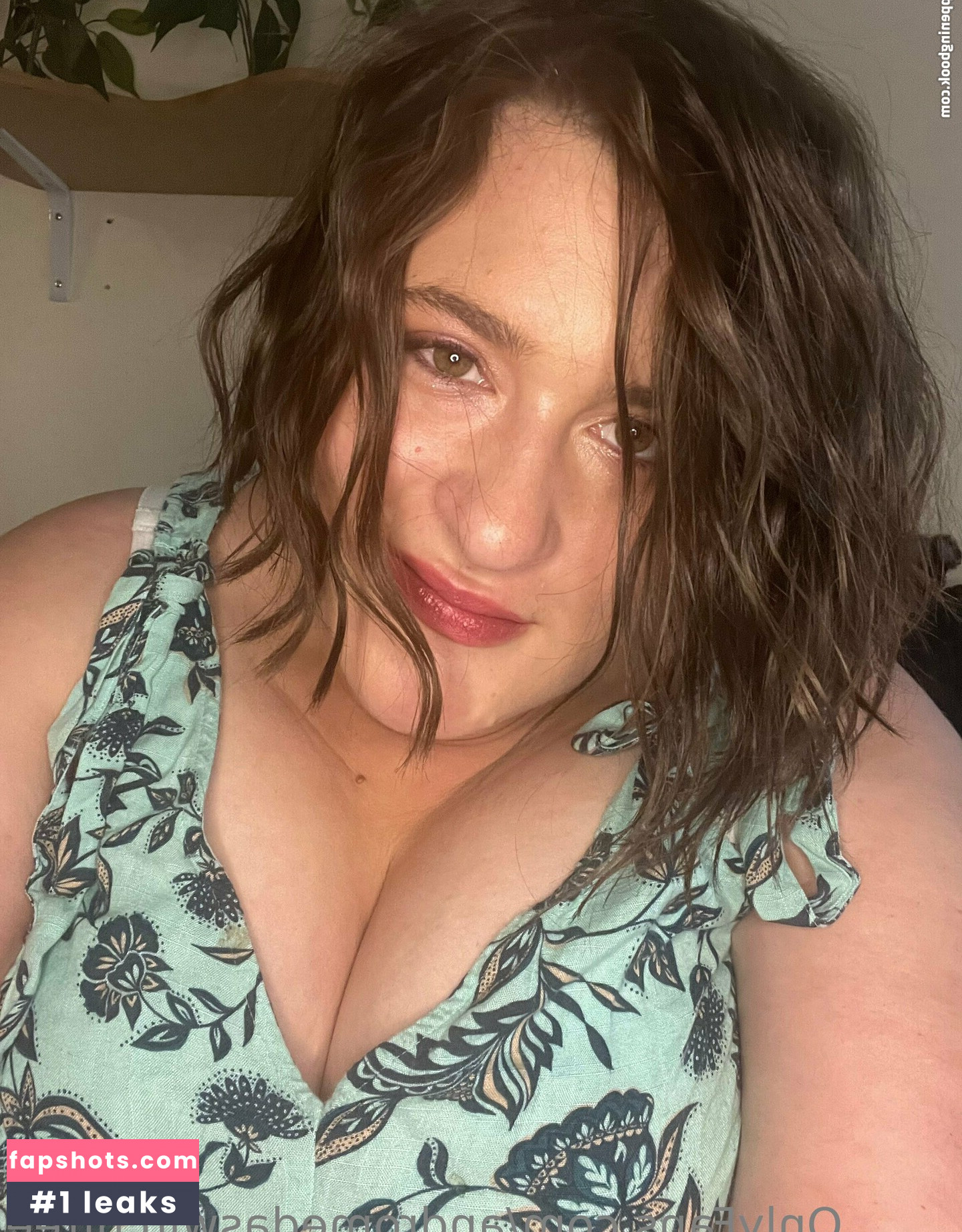 evelynmusefree gallery photo #22