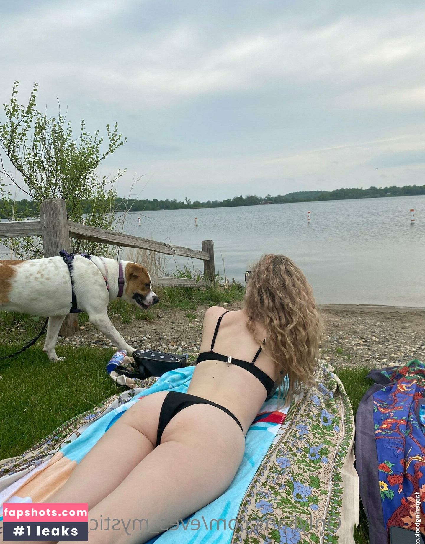 eves_mystic_garden2 gallery photo #22