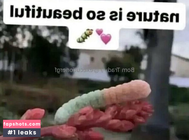 executionergf gallery photo #12