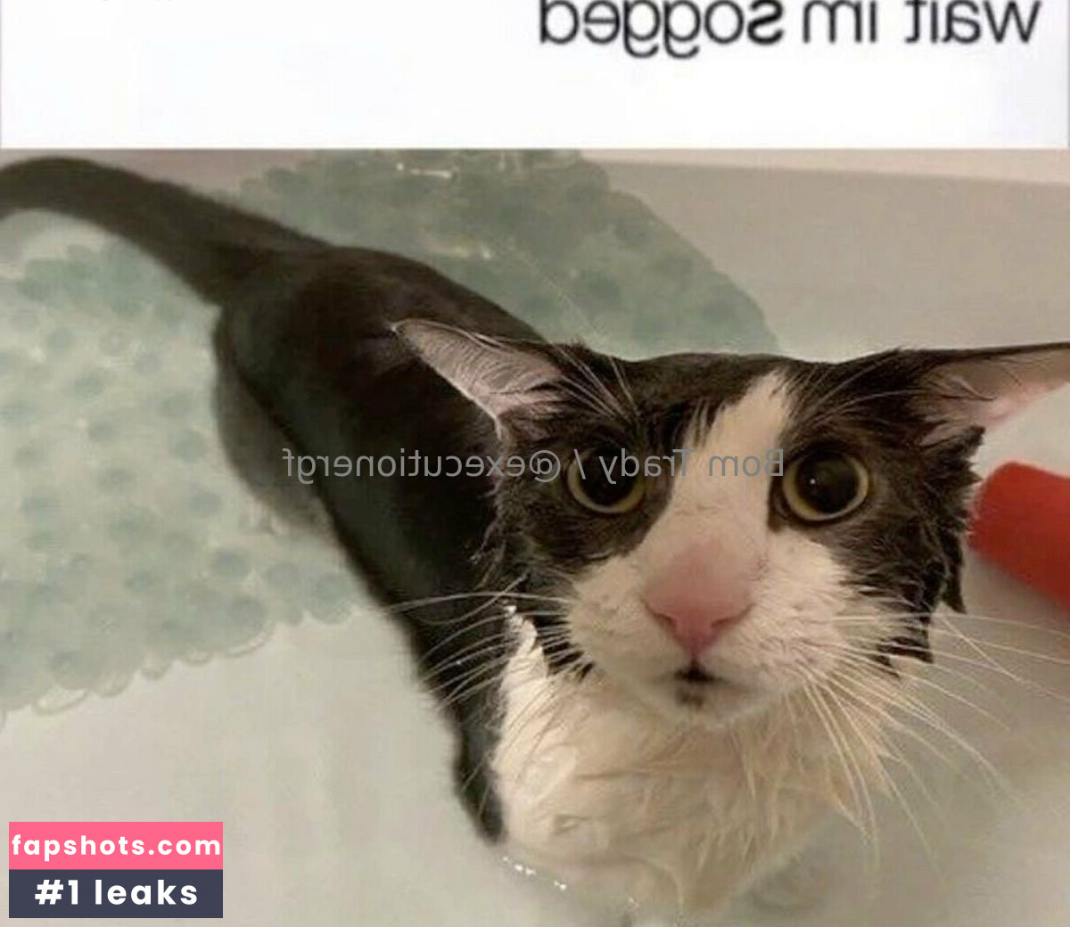 executionergf gallery photo #16