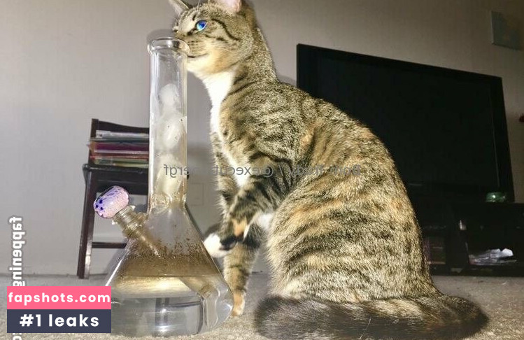 executionergf nude babe gallery