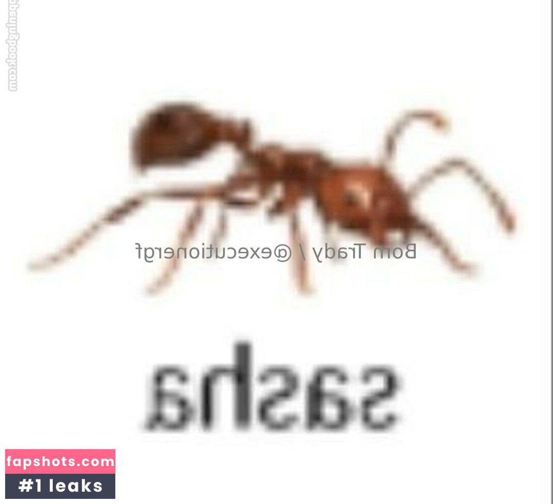 executionergf gallery photo #7