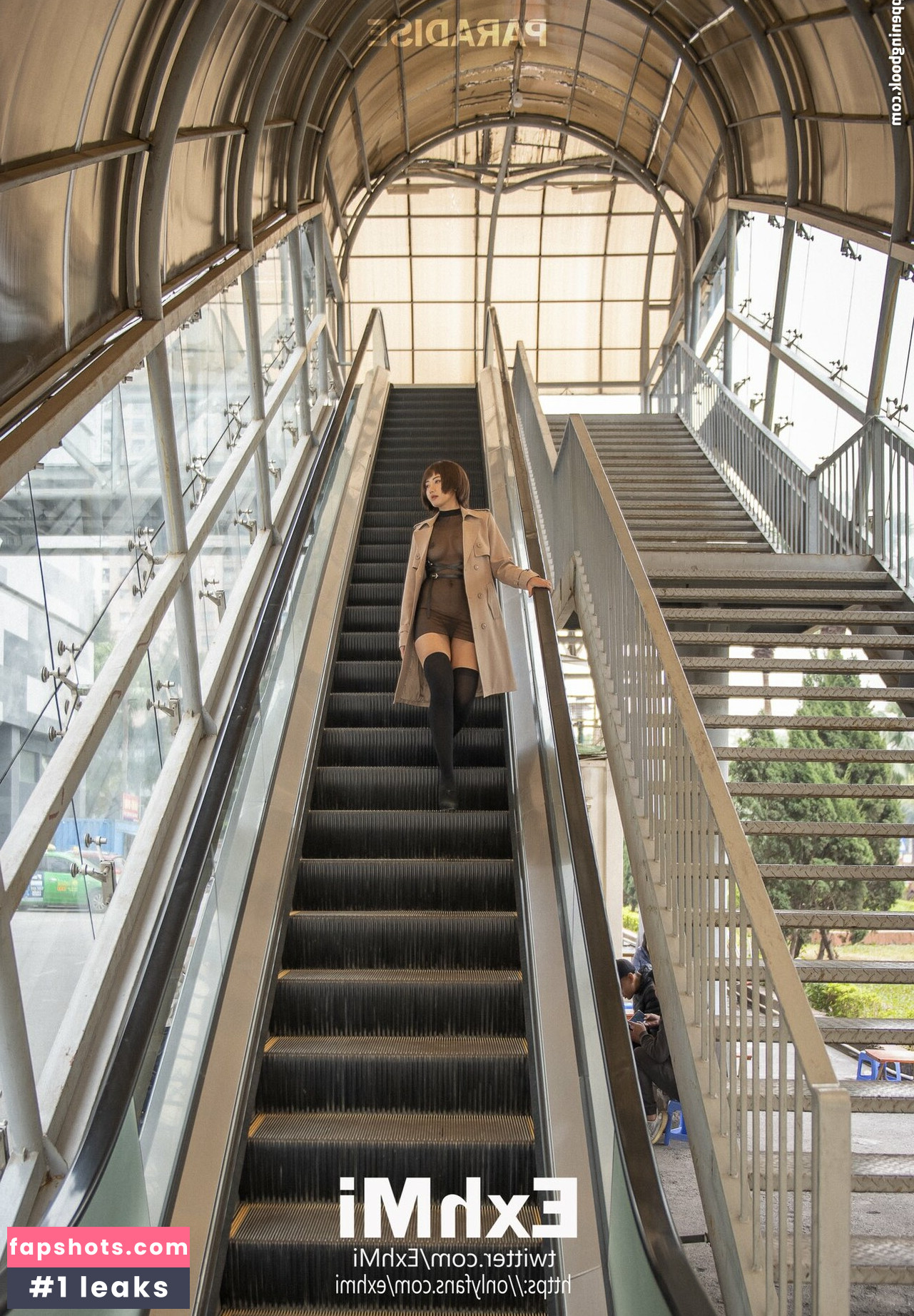 ExhMi gallery photo #7