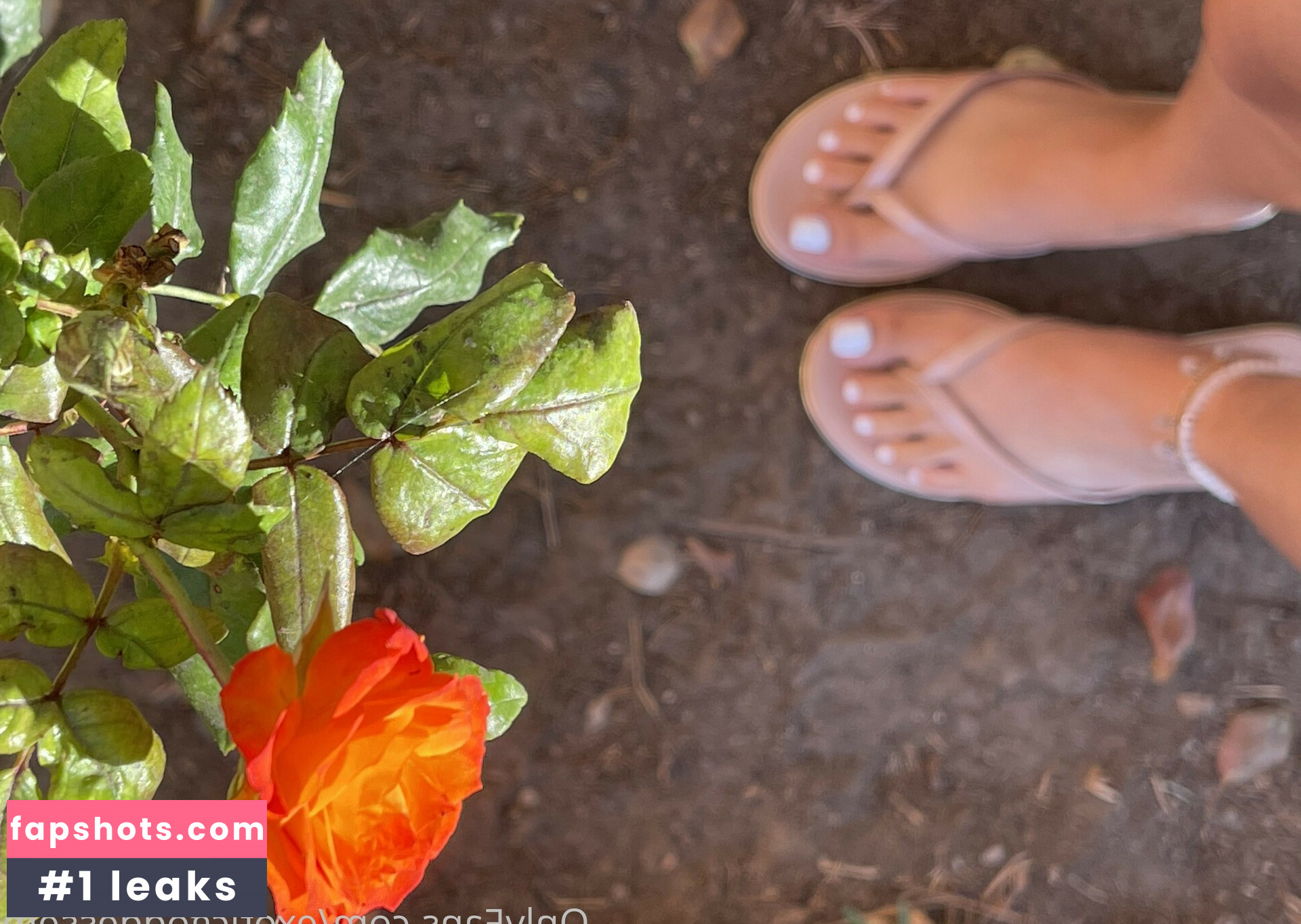 exoticgoddessem Nude Leaks OnlyFans Photos #155 - LeakJerk