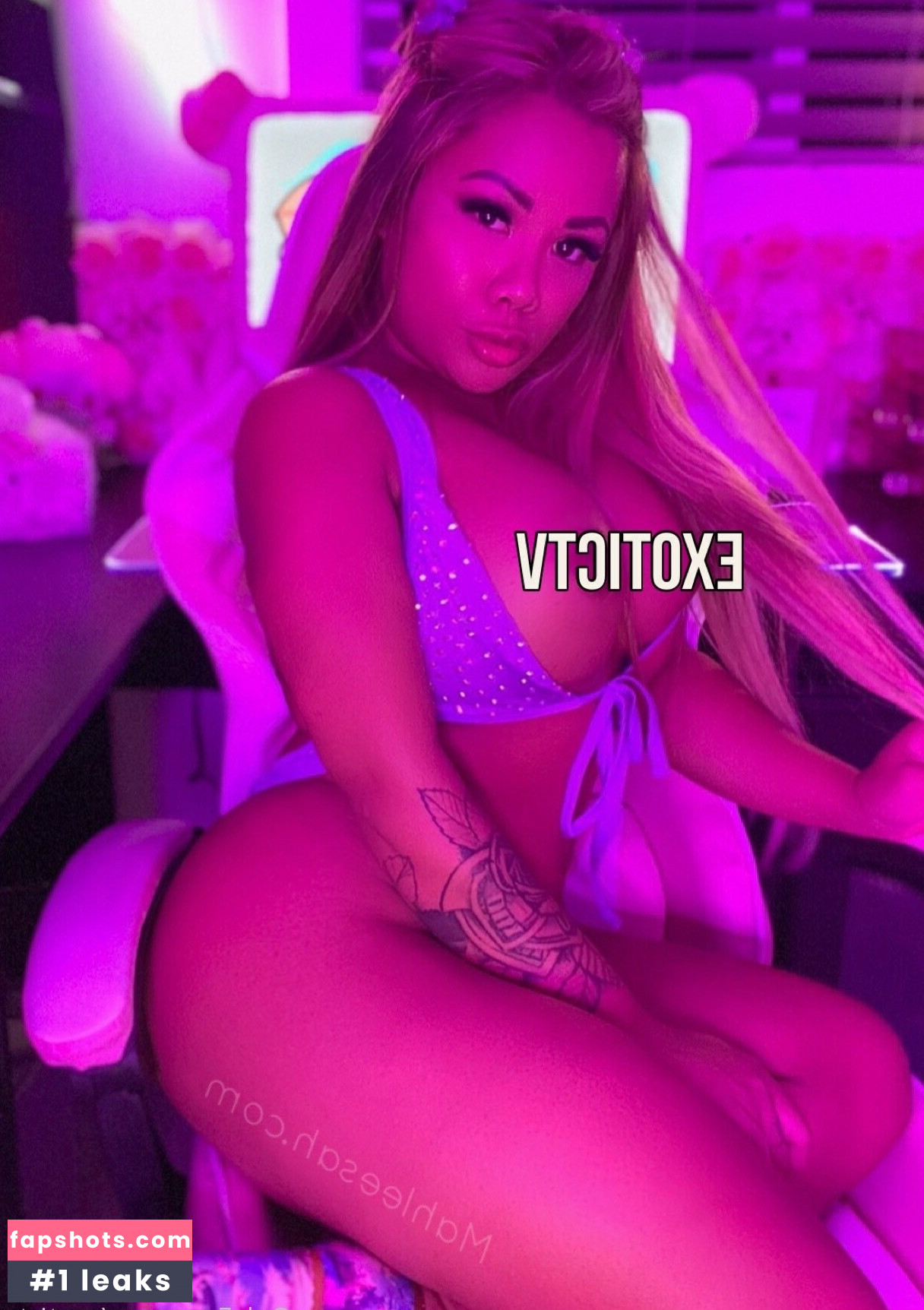 exotictv gallery photo #12