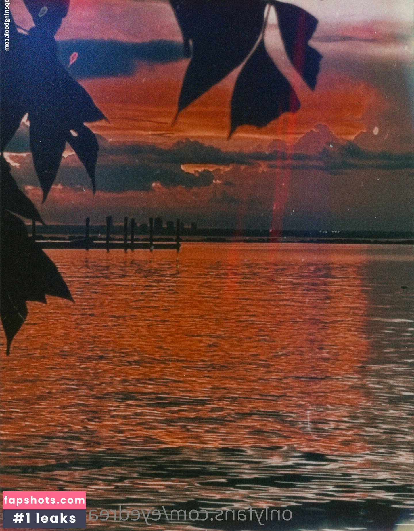 eyedreamofearth gallery photo #11