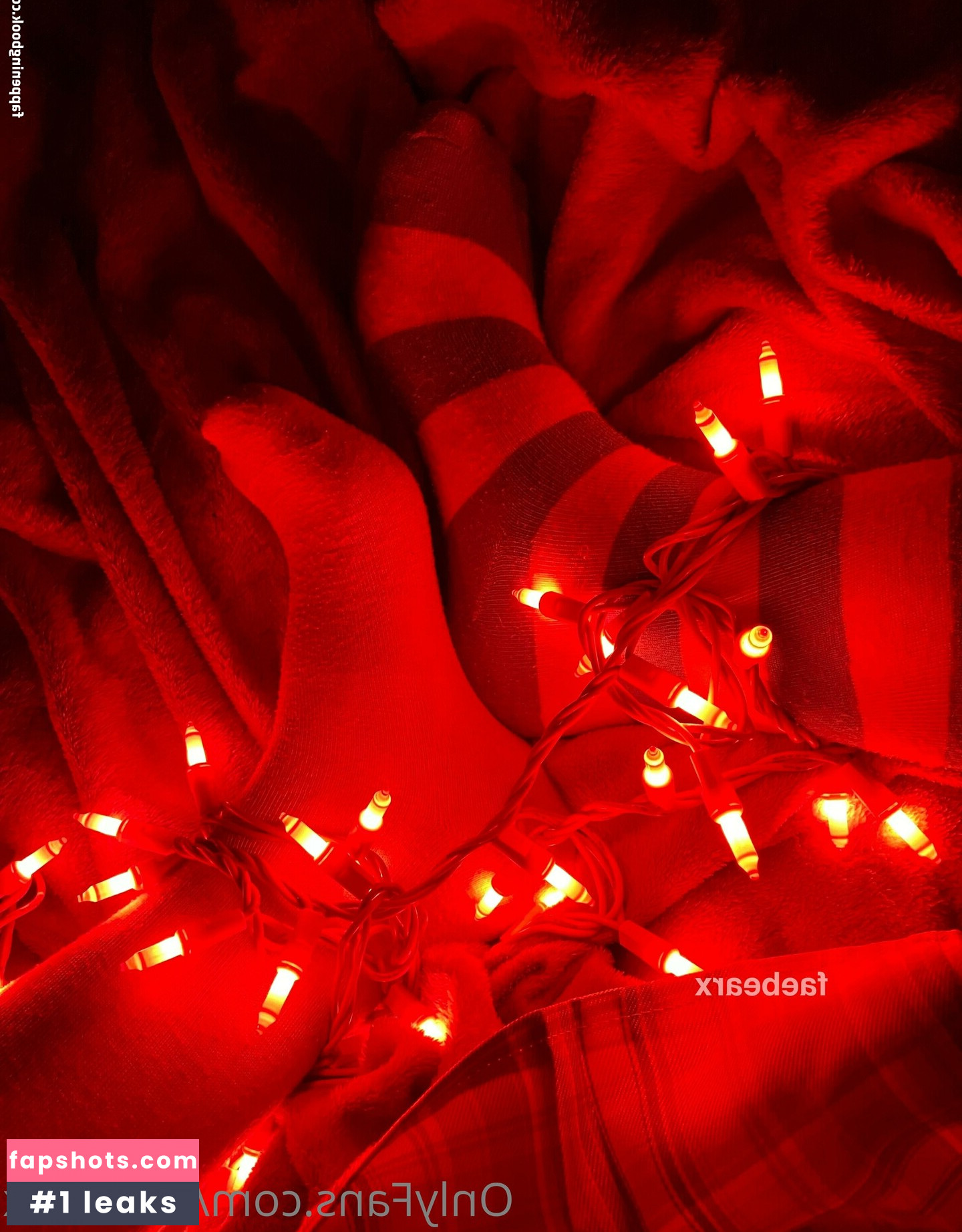 faebearx gallery photo #73