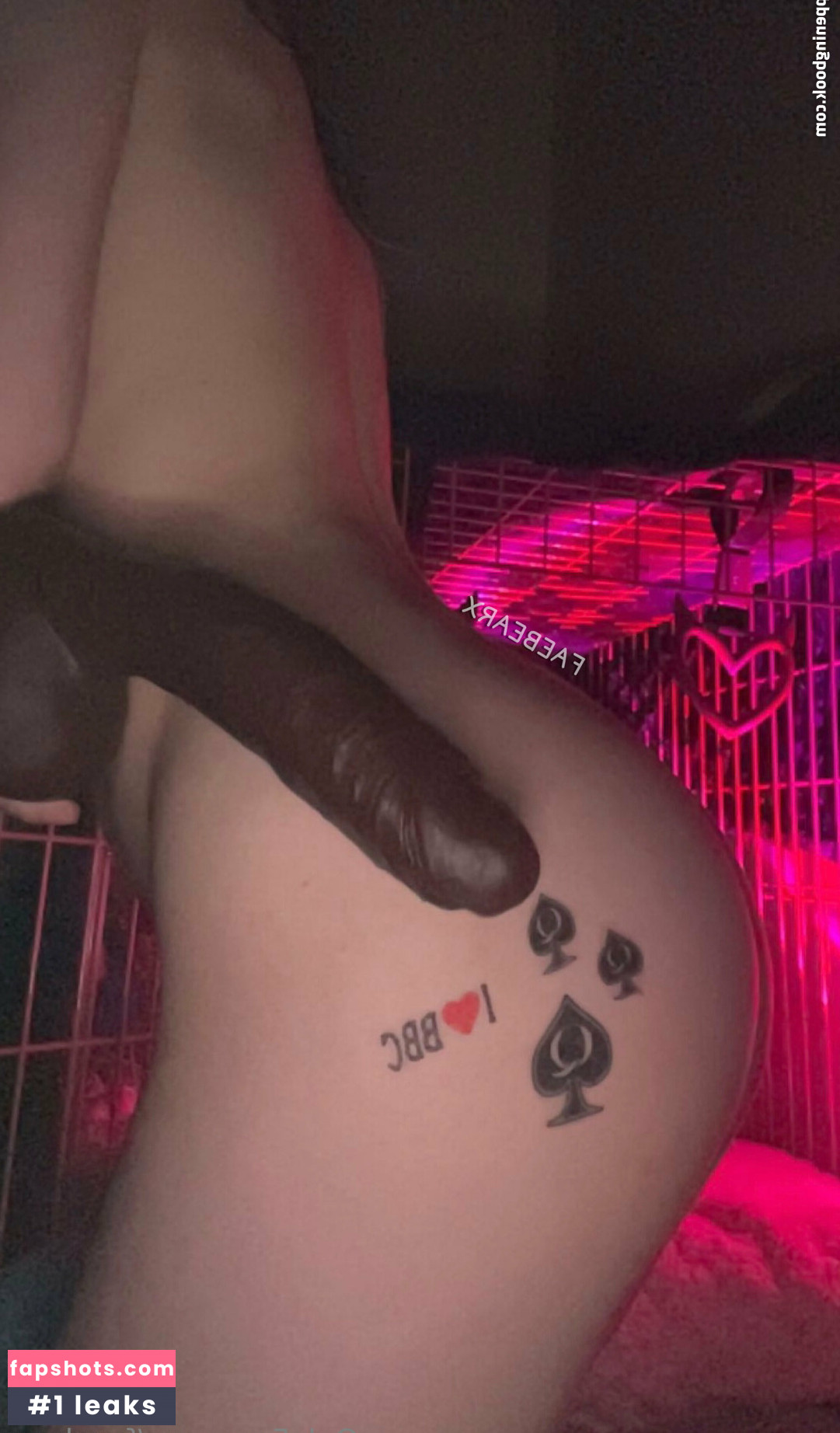 faexbear gallery photo #14