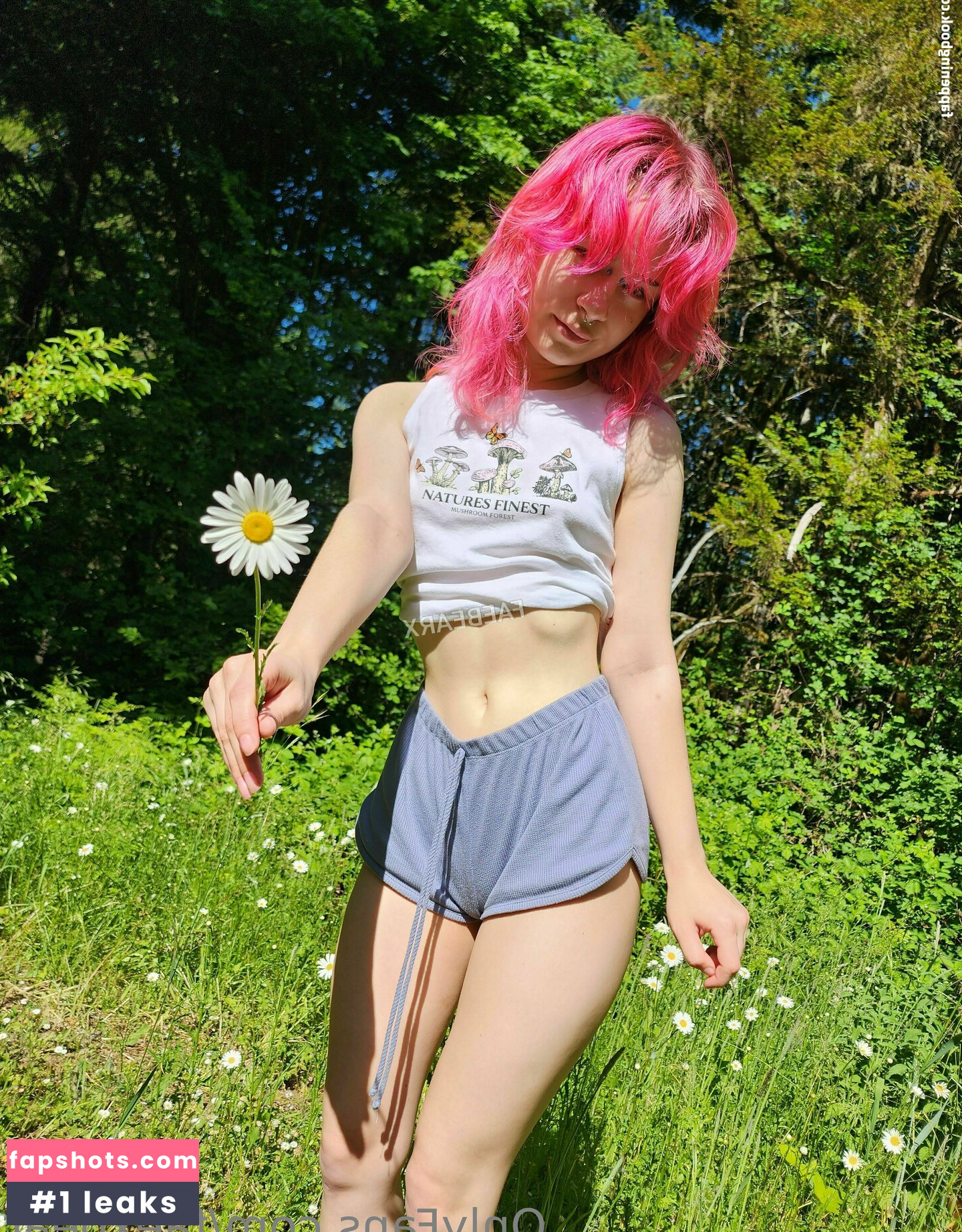 faexbear gallery photo #88