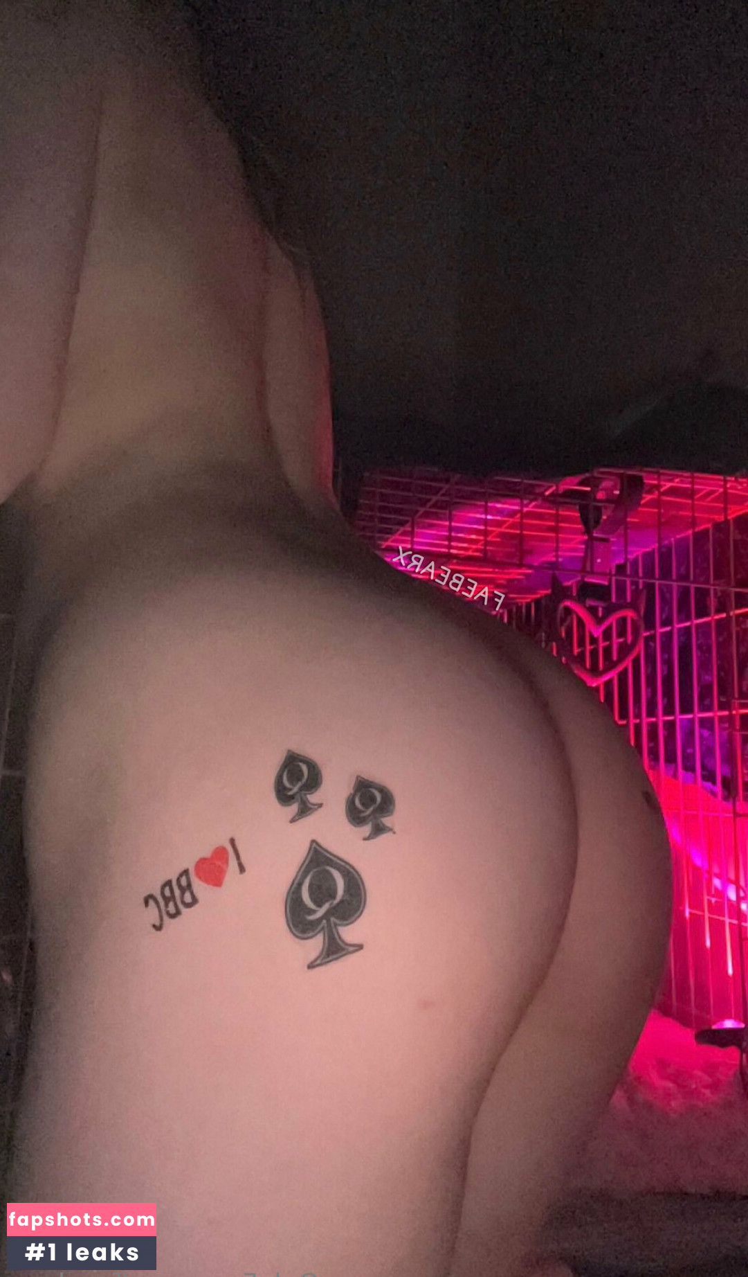 faexbear gallery photo #10