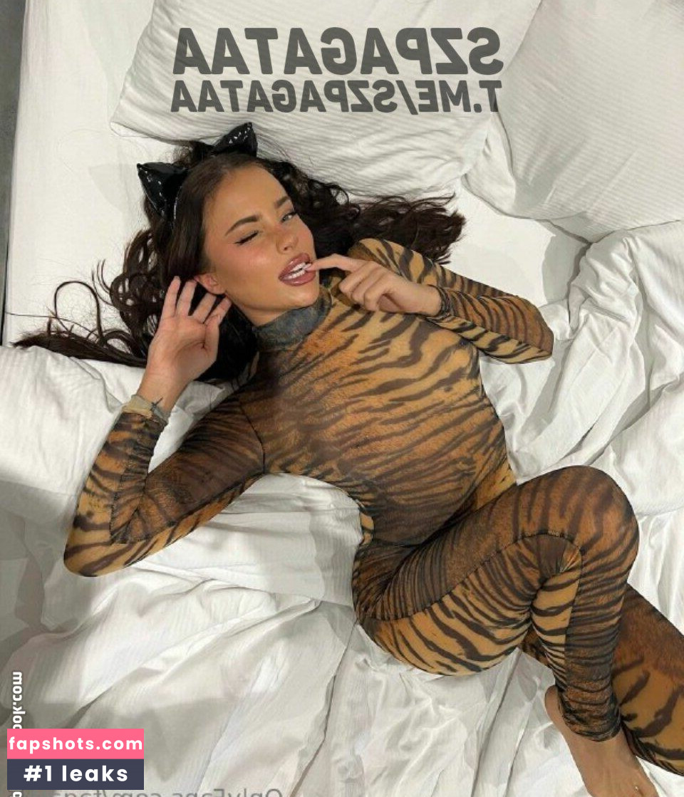 Fagata gallery photo #91