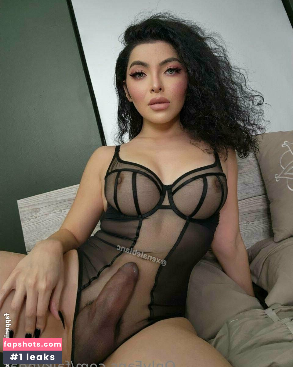 falkybear gallery photo #35