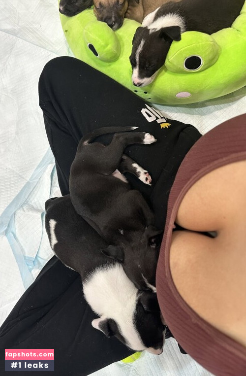 Fandy gallery photo #622