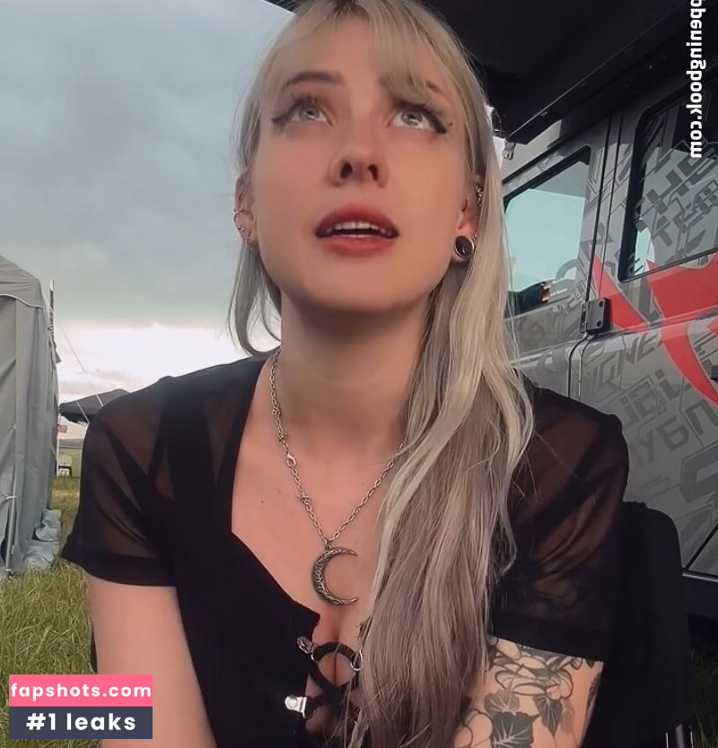 Farbenfuchs gallery photo #19