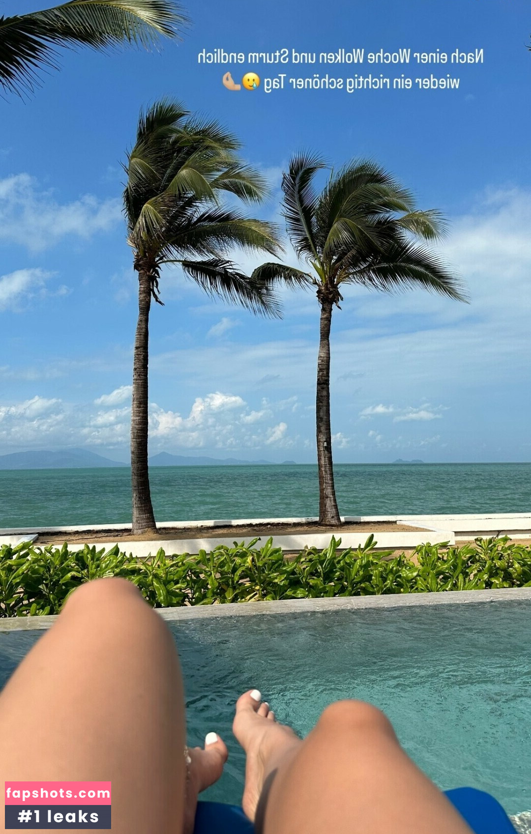 Farbenfuchs gallery photo #72