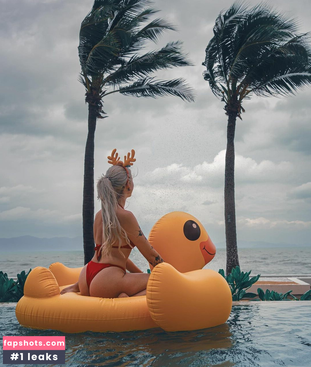 Farbenfuchs gallery photo #76