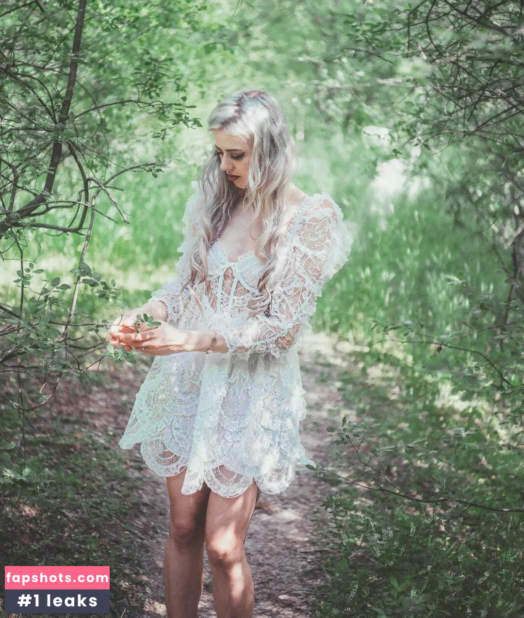 Farbenfuchs gallery photo #92