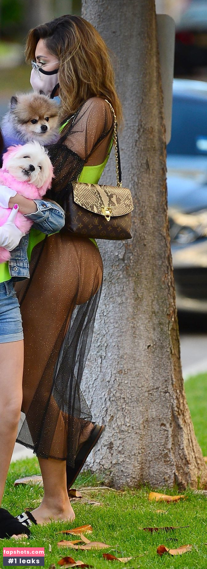 Farrah Abraham gallery photo #256