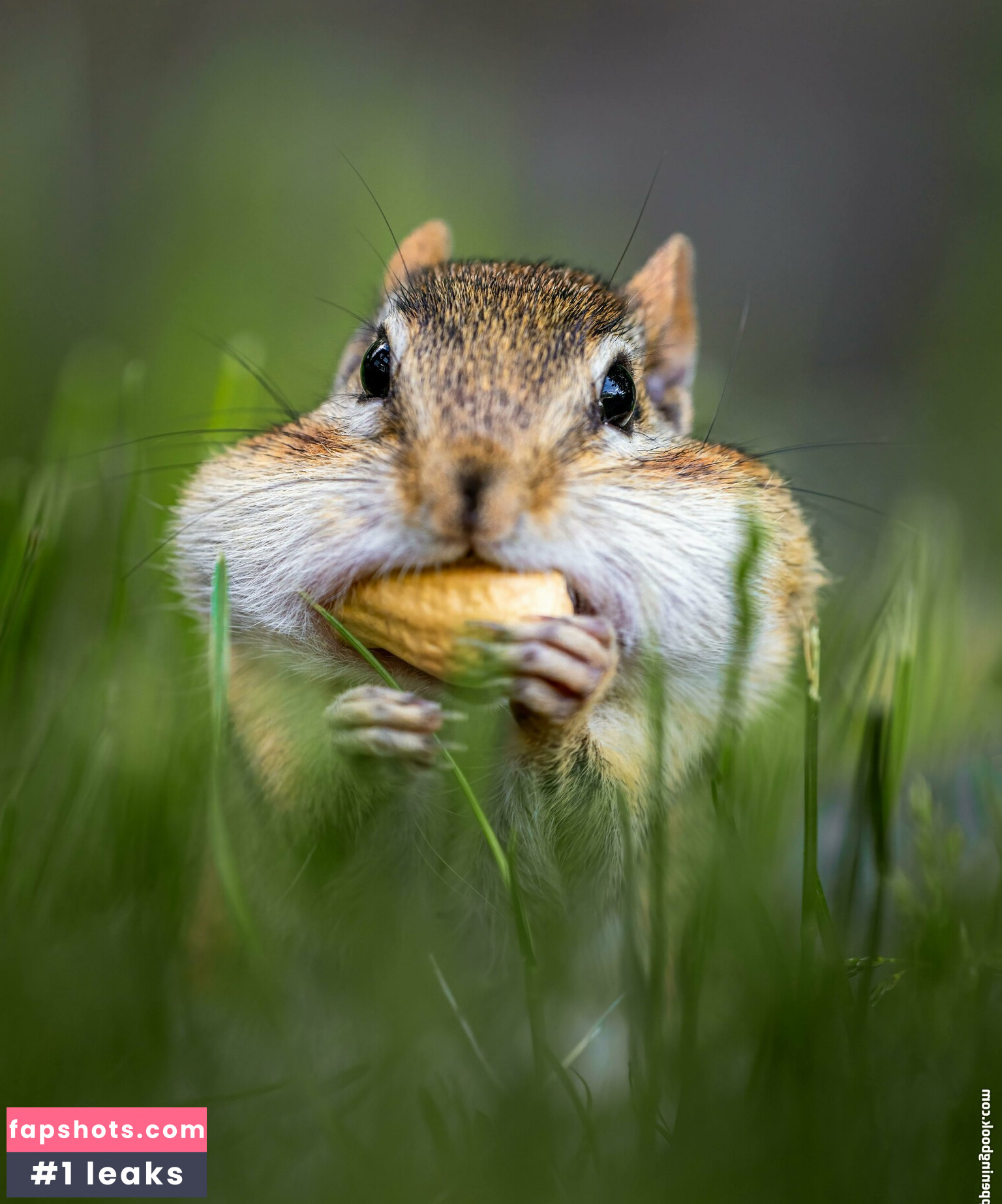 fatsackfails Filtración Desnuda OnlyFans Foto #4 - Fapshots