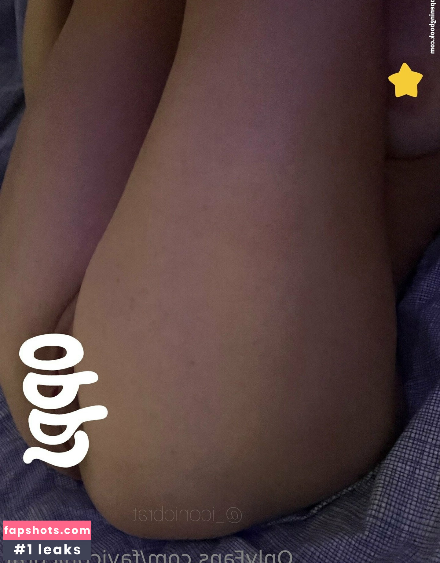 faviconicbrat gallery photo #21