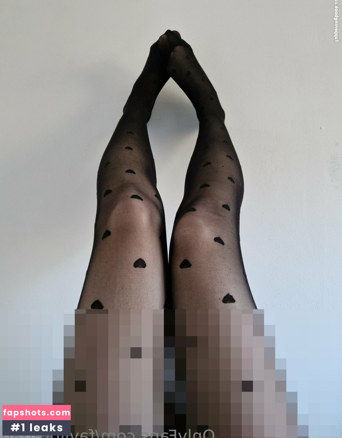 favlibrarian gallery photo #2