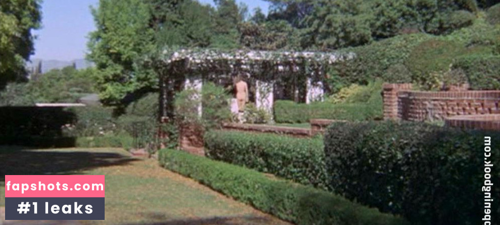 Faye Dunaway gallery photo #35