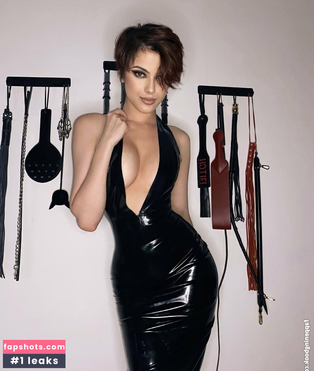 fchdommes gallery photo #19