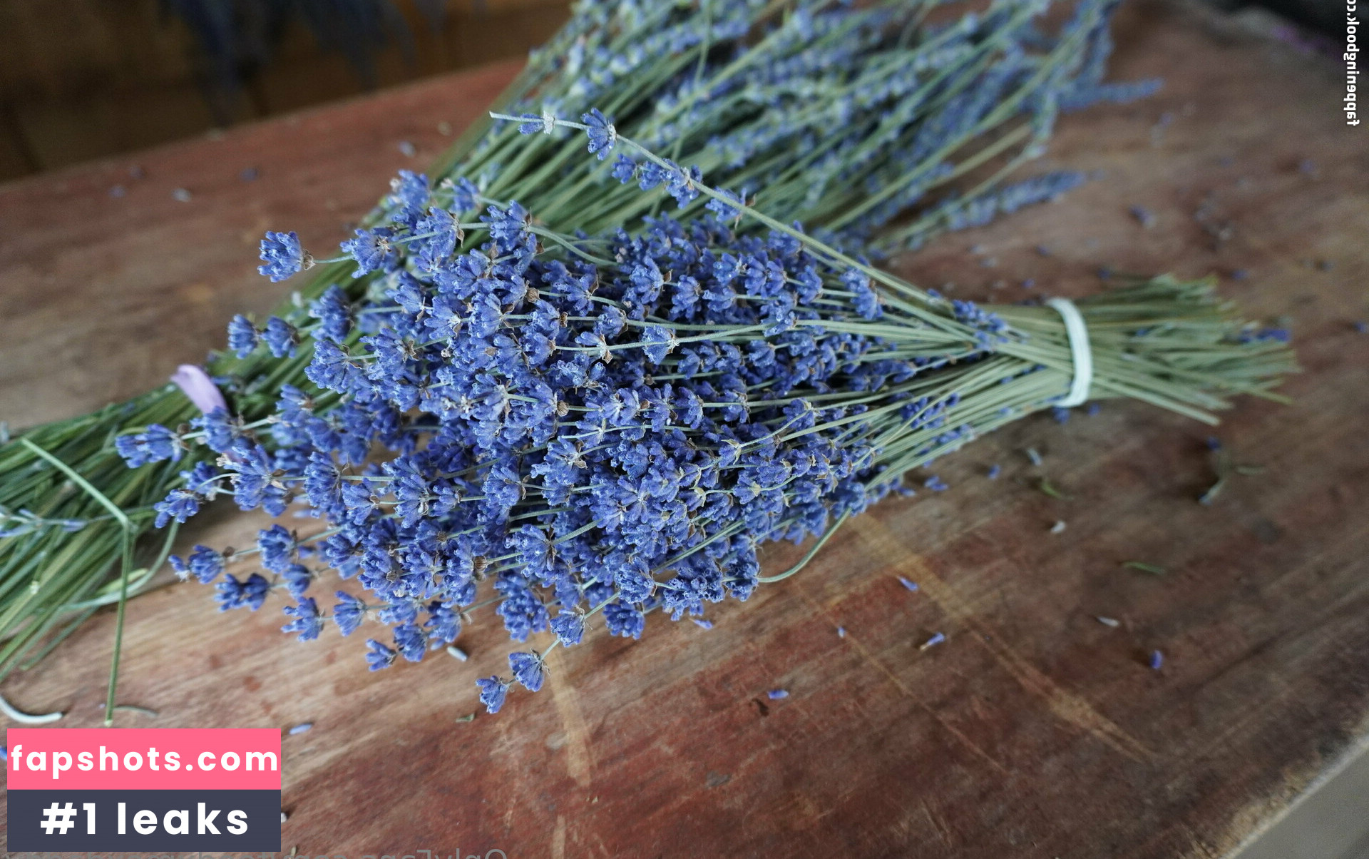 feedxmexdaddy gallery photo #47