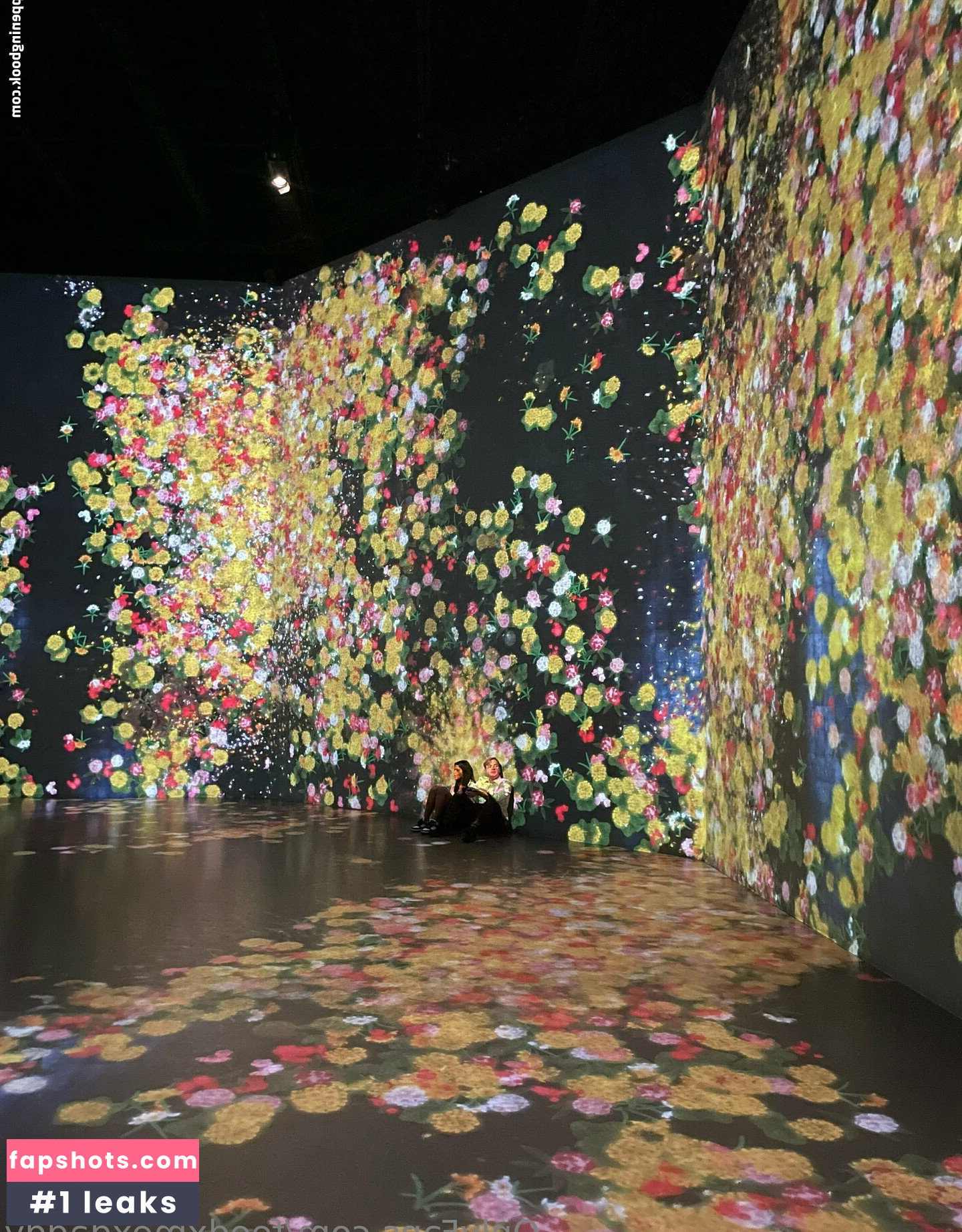 feedxmexdaddy gallery photo #8