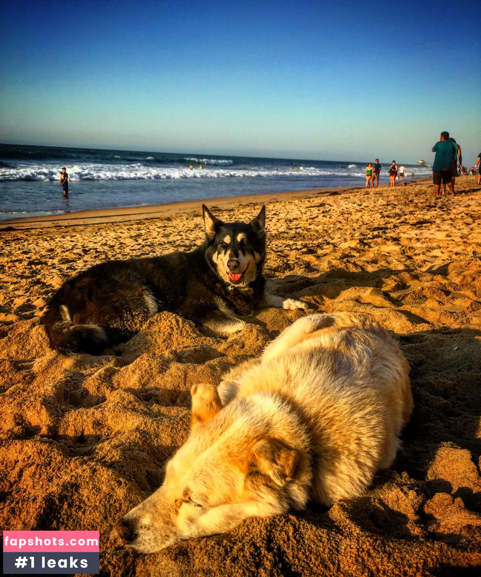 felicityfeline gallery photo #16