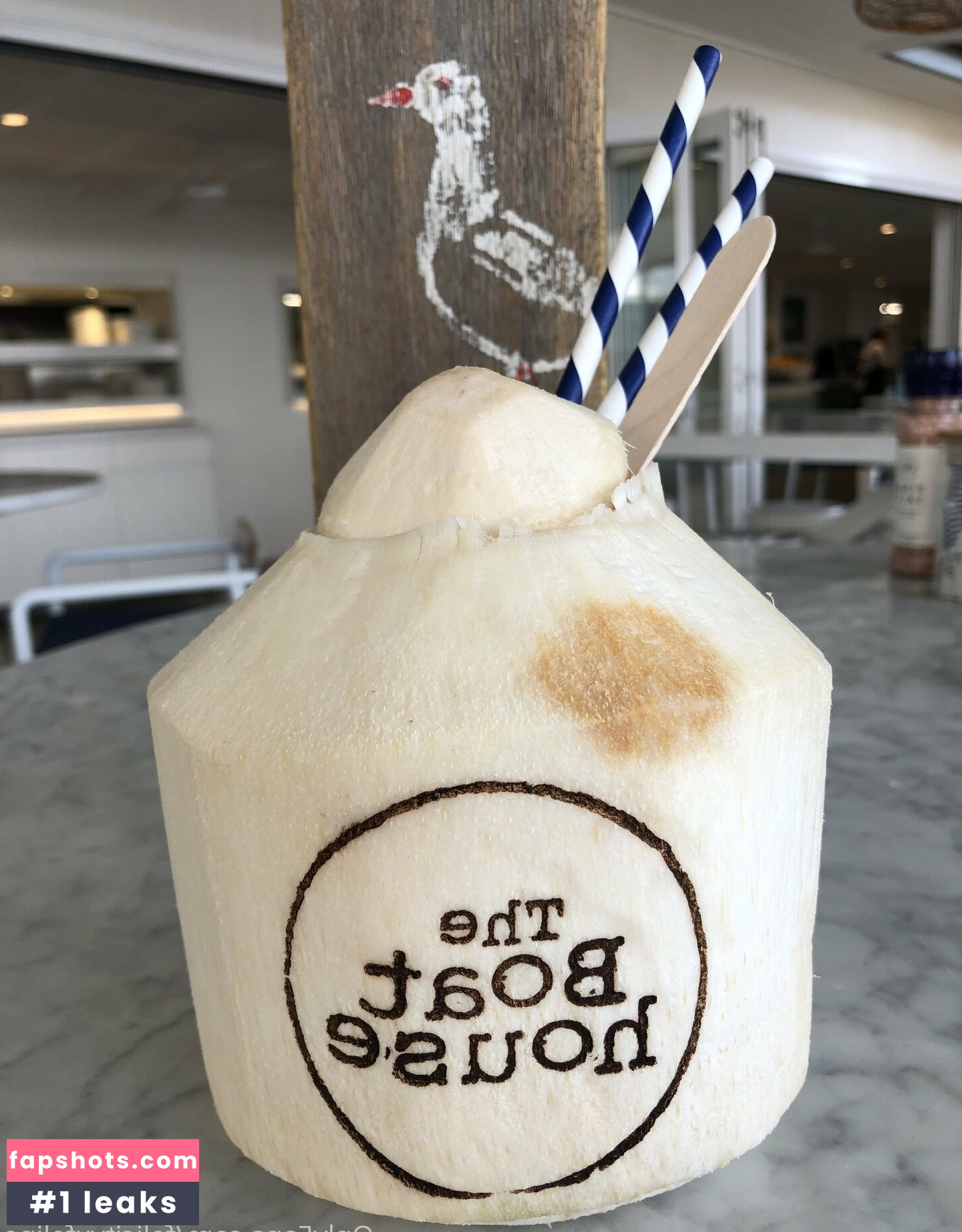 felicityfeline gallery photo #25