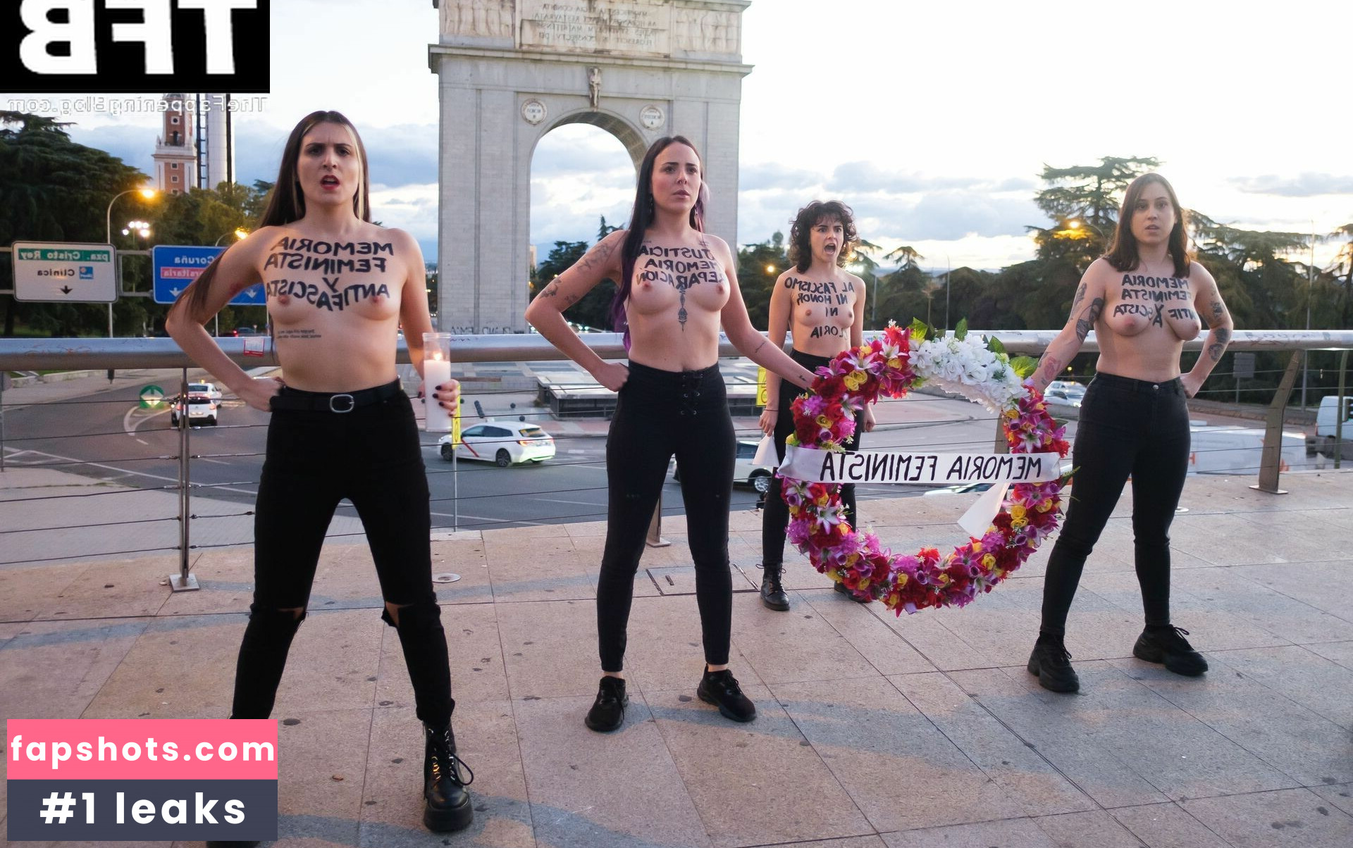 Femen gallery photo #11