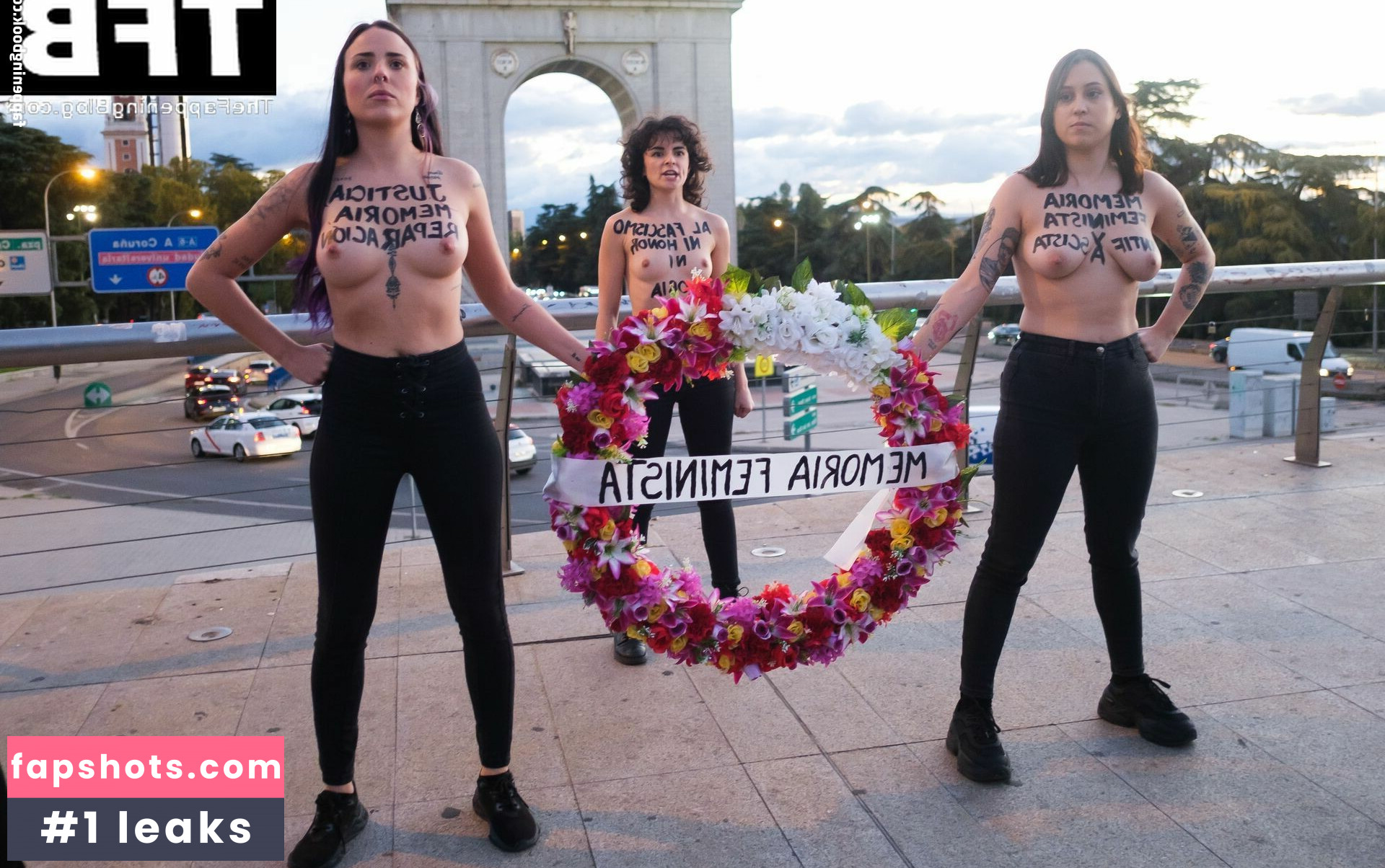 Femen gallery photo #14