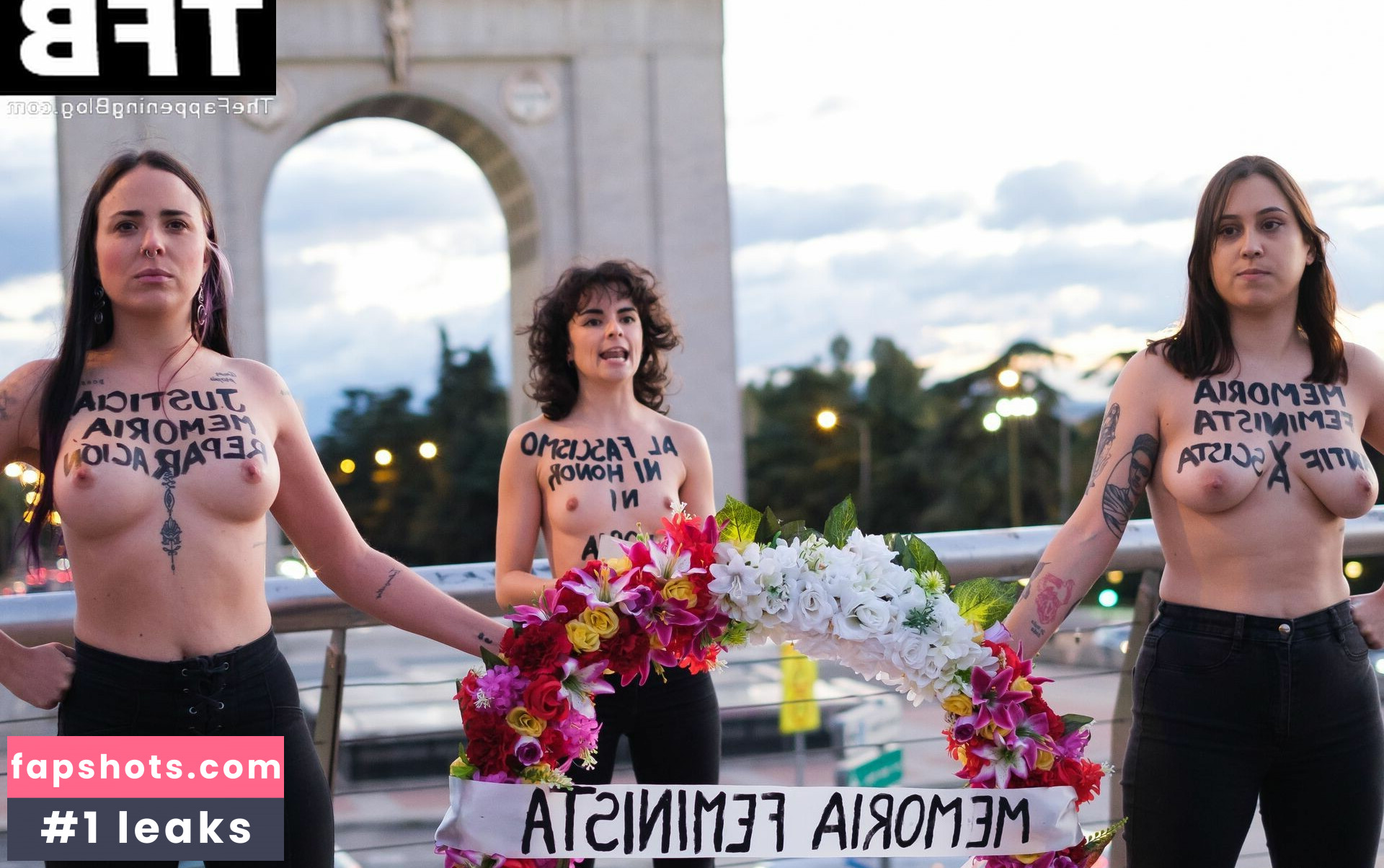Femen gallery photo #9