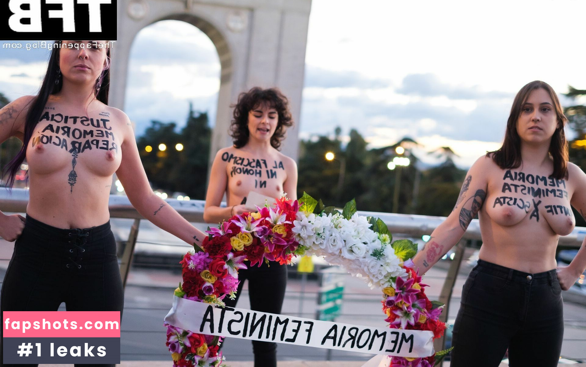 Femen gallery photo #10