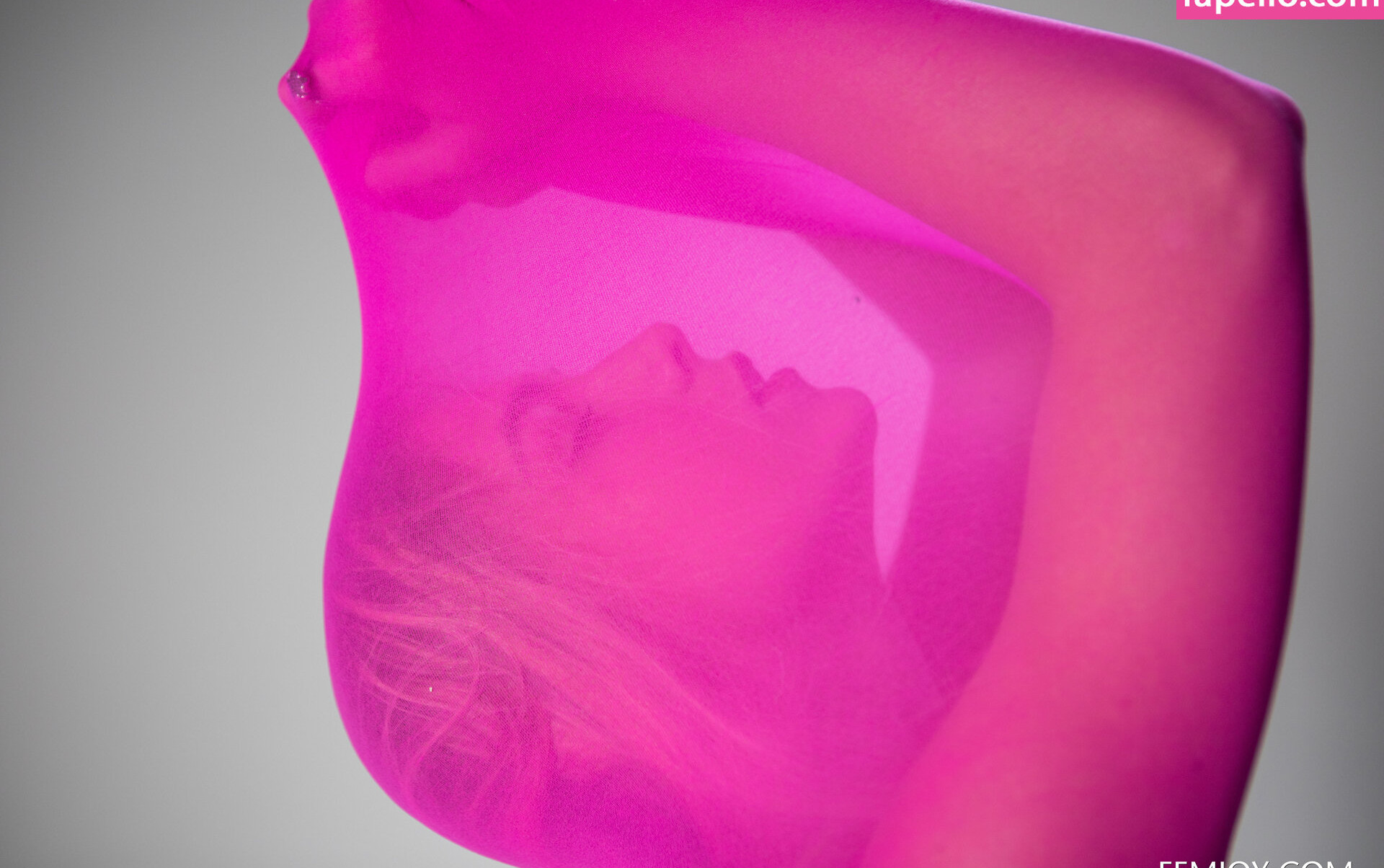 femjoy-2 Nude Leaks OnlyFans Photos #4758 - LeakJerk