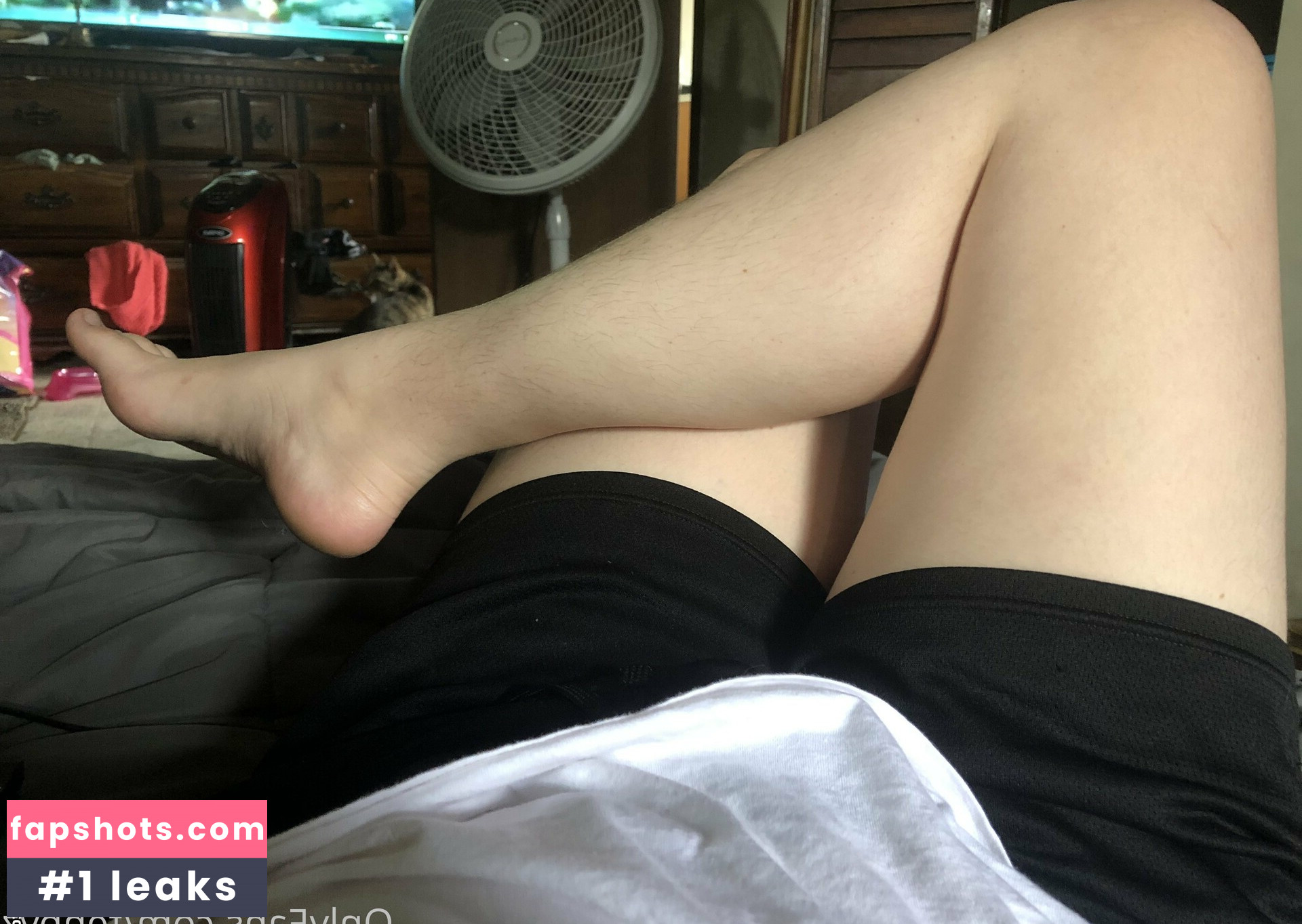 fenbyz gallery photo #35