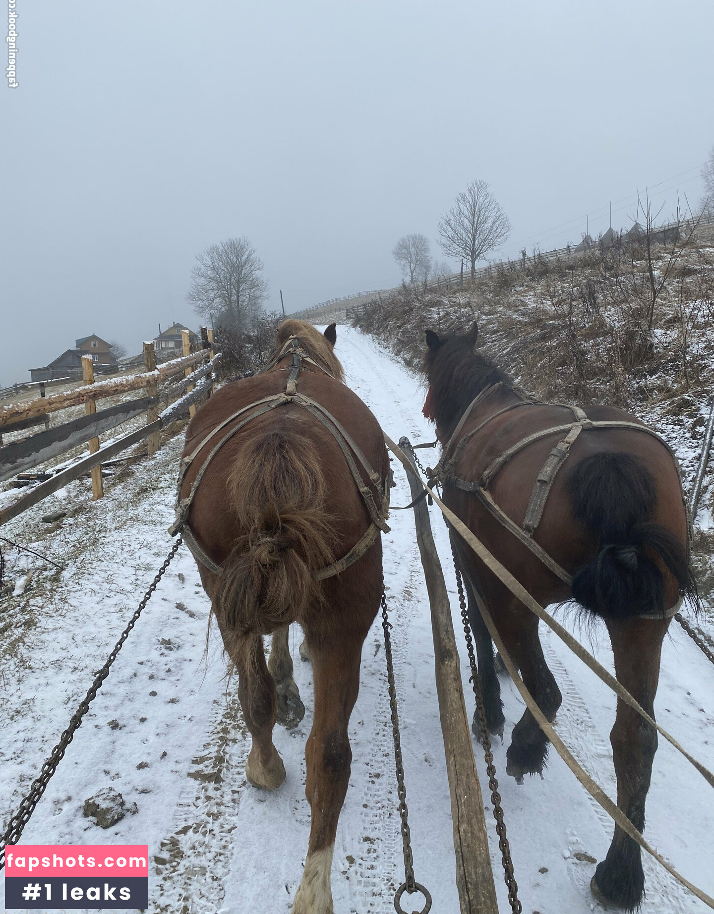 Fenix Fatalist gallery photo #12