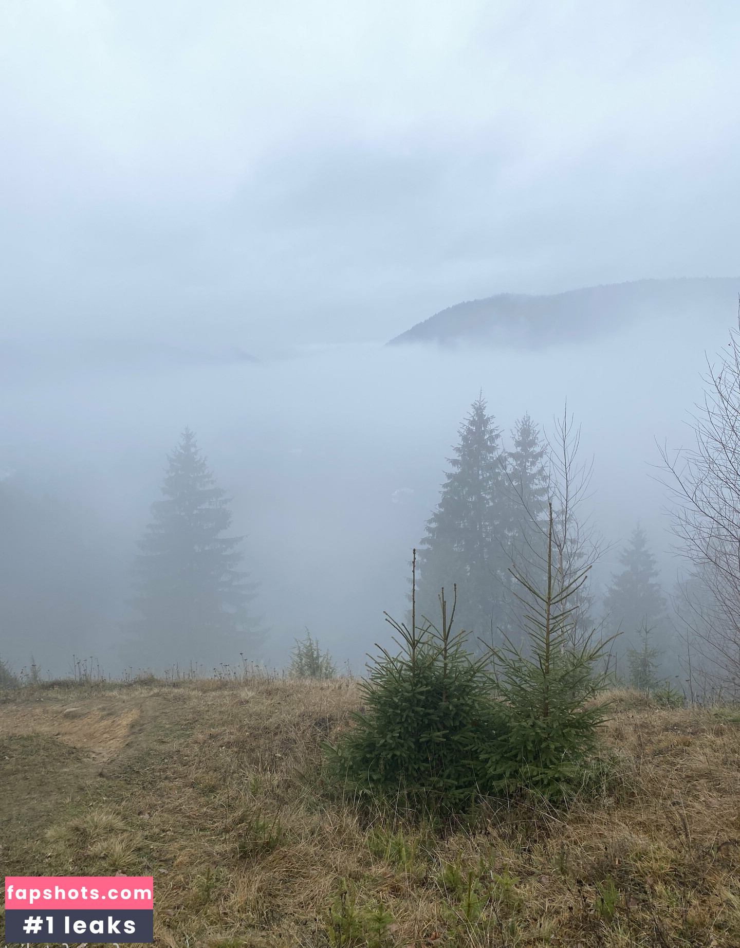 Fenix Fatalist gallery photo #18