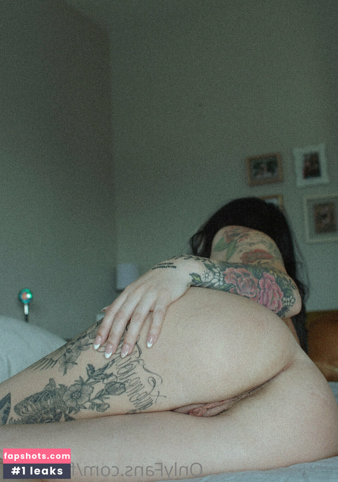 Fenix Sun gallery photo #2