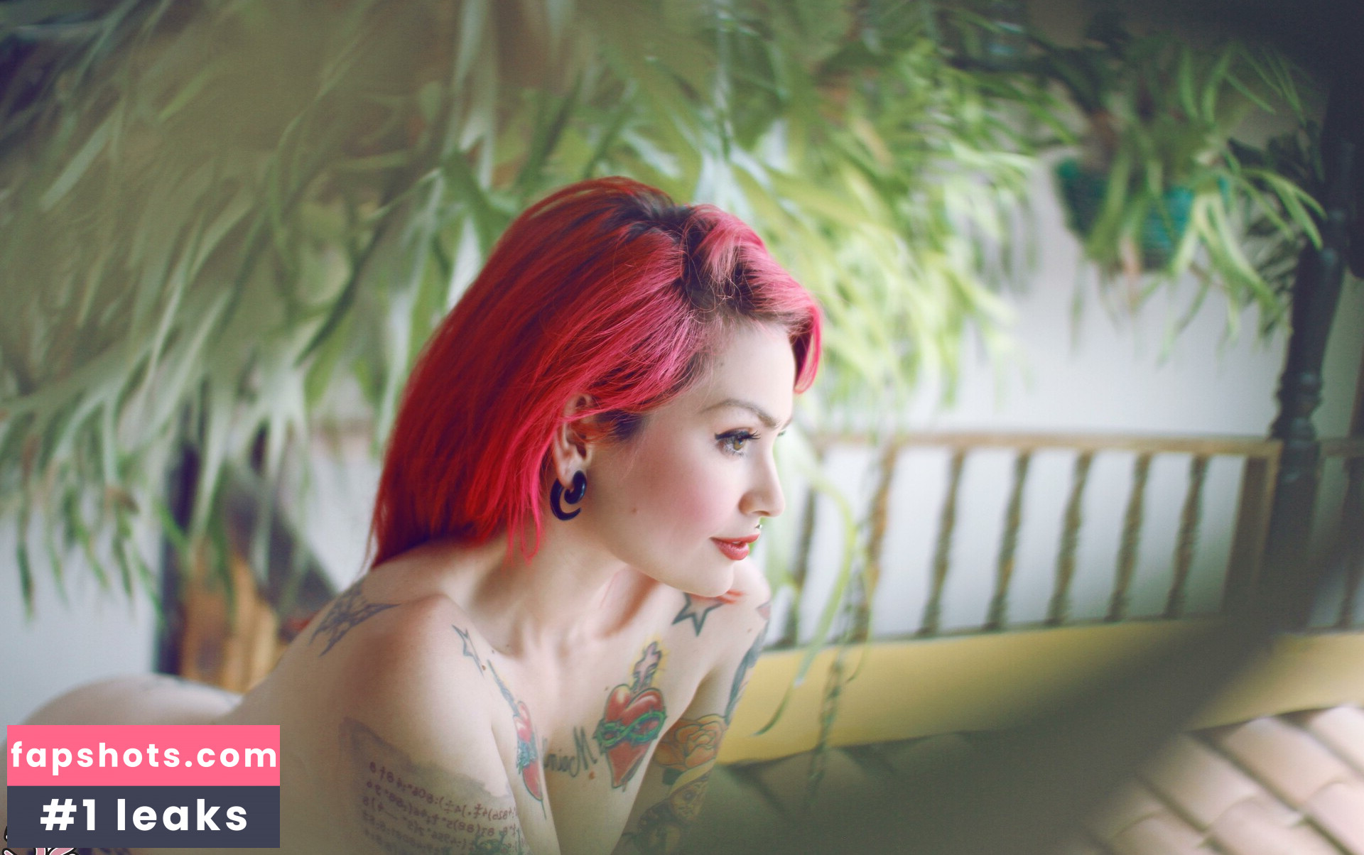 fermercury gallery photo #13