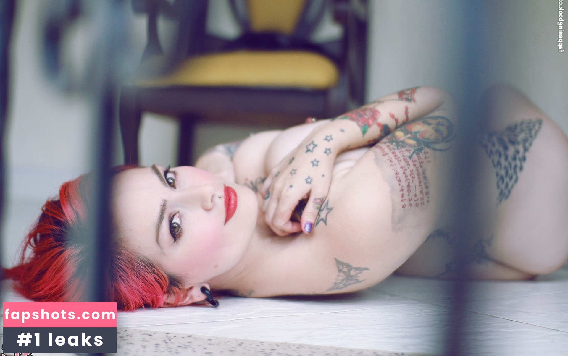 fermercury gallery photo #25