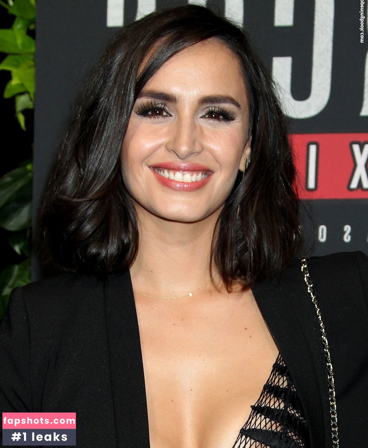 Fernanda Urrejola gallery photo #13