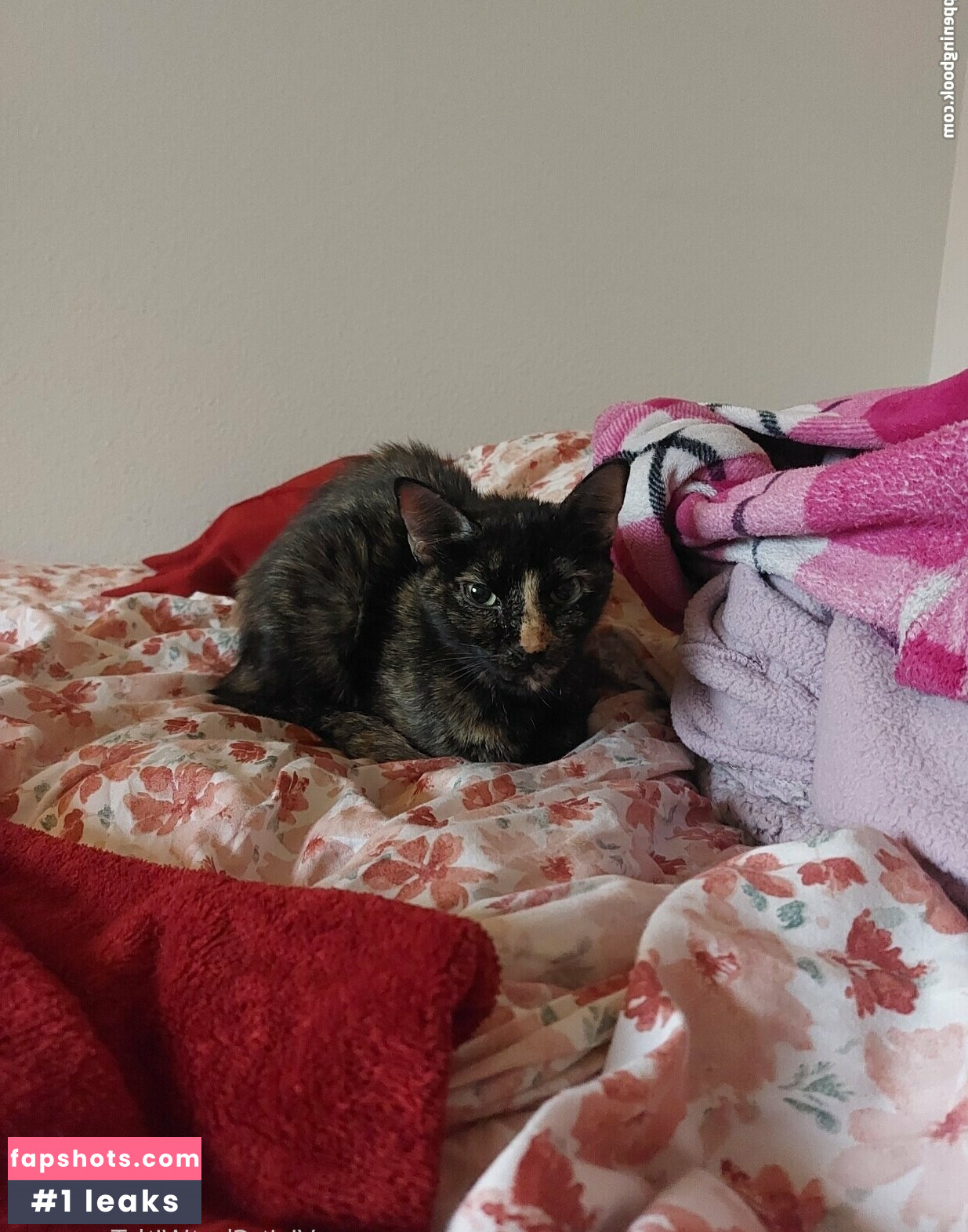 fictionerotica Nude Leaks OnlyFans Photos #28 - LeakJerk